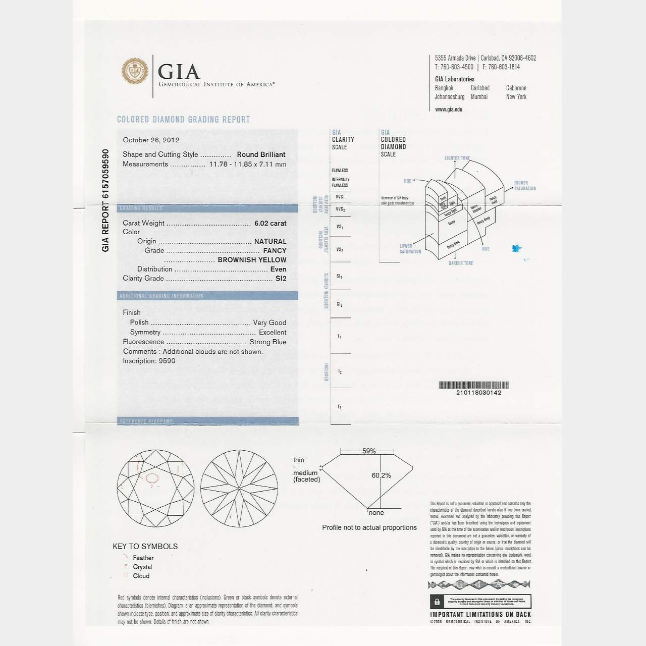 53.62 Ct GIA Certified Fancy Color Diamond Necklace