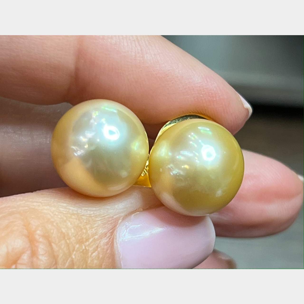 18K Yellow Gold South Sea Pearl Earrings