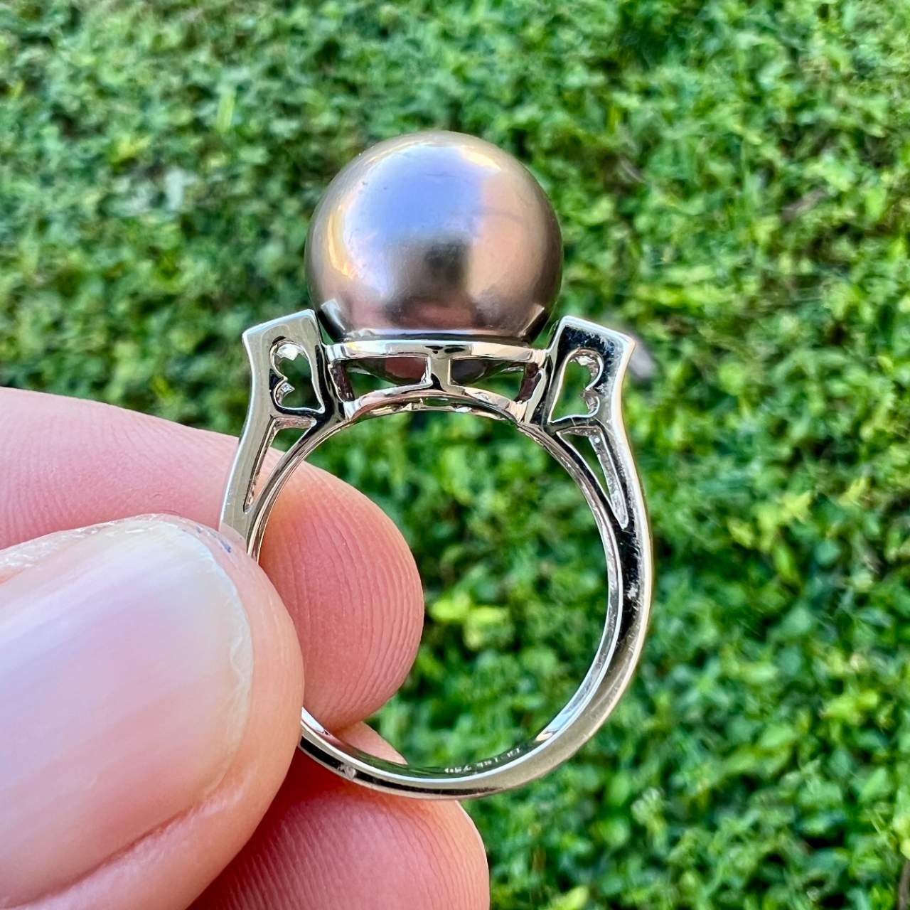 18K White Gold South Sea Pearl & Diamond Ring